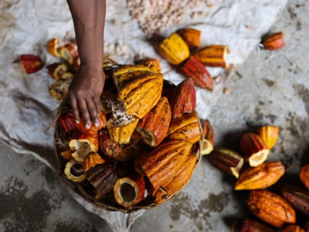 Grenada Chocolate Festival 2026