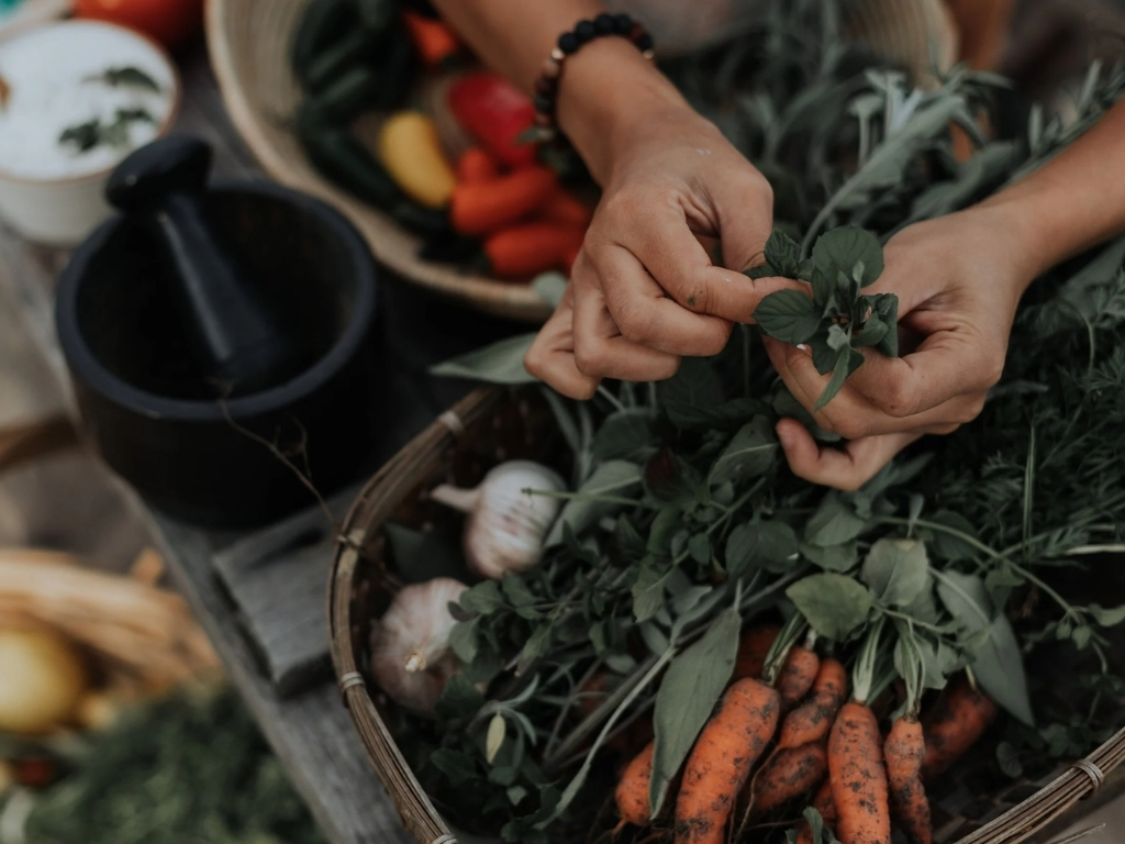 foraging excursions in Canada